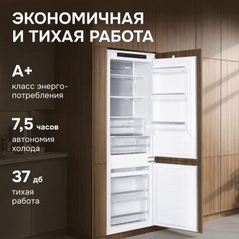 ����������� ������������ Zigmund & Shtain BR 23 X, 178 ��, NoFrost, ���� ��������, Metal Cooling