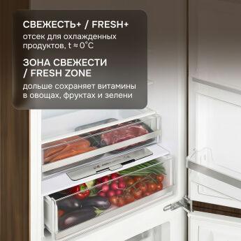 ����������� ������������ Zigmund & Shtain BR 23 X, 178 ��, NoFrost, ���� ��������, Metal Cooling