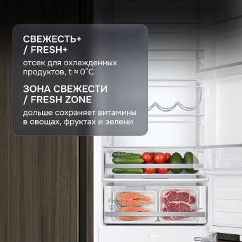 ����������� ������������ Zigmund & Shtain BR 25 X, 194 ��, NoFrost, ���� ��������, ���������� ������������