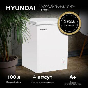   Hyundai CH10081