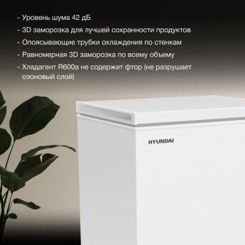   Hyundai CH15081