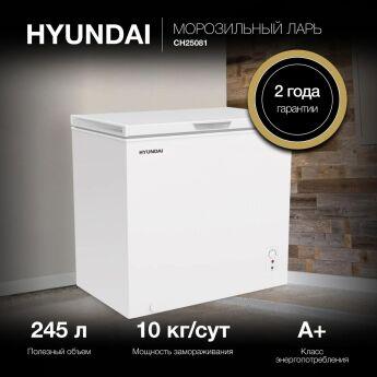   Hyundai CH25081
