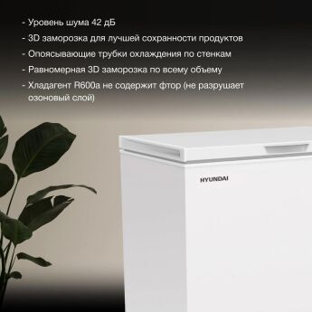   Hyundai CH25081