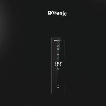 ����������� Gorenje R619EABK6