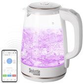 Чайник Redmond SkyKettle RK-G203S