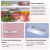  TESLER RB-335 DUSTY ROSE